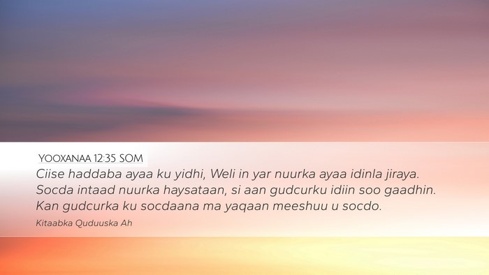 Yooxanaa 12:35 SOM Bible Verse Image