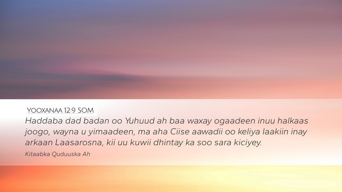 Yooxanaa 12:9 SOM Bible Verse Image