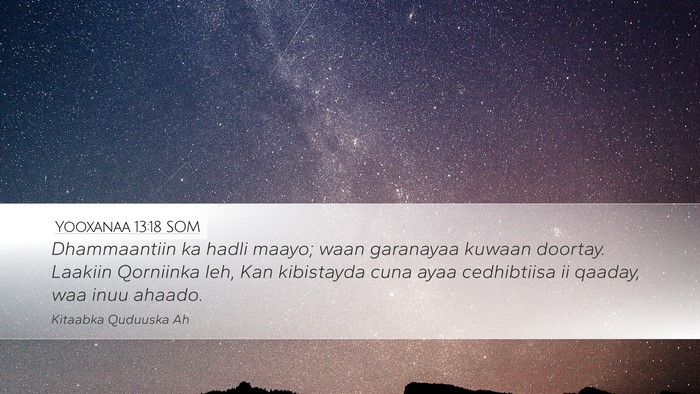 Yooxanaa 13:18 SOM Bible Verse Image