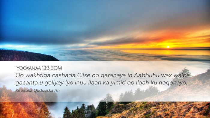 Yooxanaa 13:3 SOM Bible Verse Image