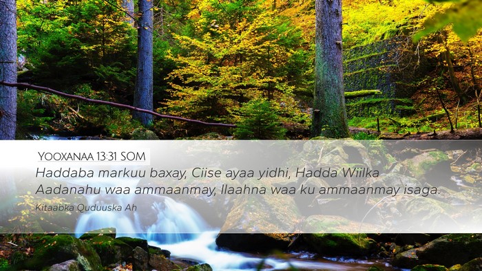 Yooxanaa 13:31 SOM Bible Verse Image