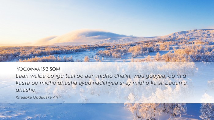 Yooxanaa 15:2 SOM Bible Verse Image
