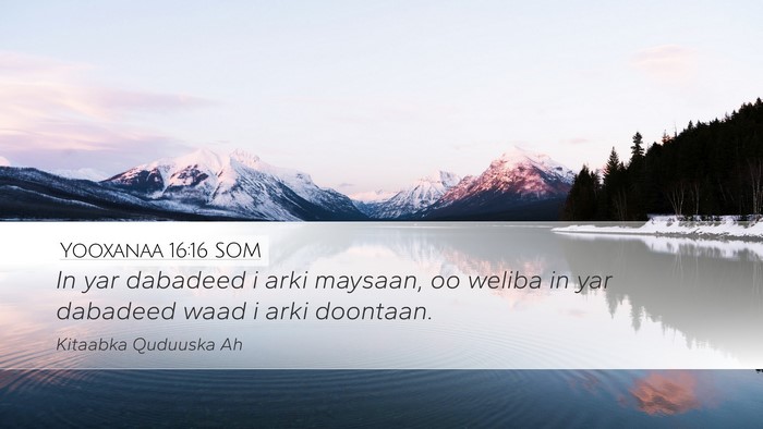 Yooxanaa 16:16 SOM Desktop Wallpaper - In yar dabadeed i arki maysaan, oo weliba in yar - Desktop Bible Verse Wallpaper