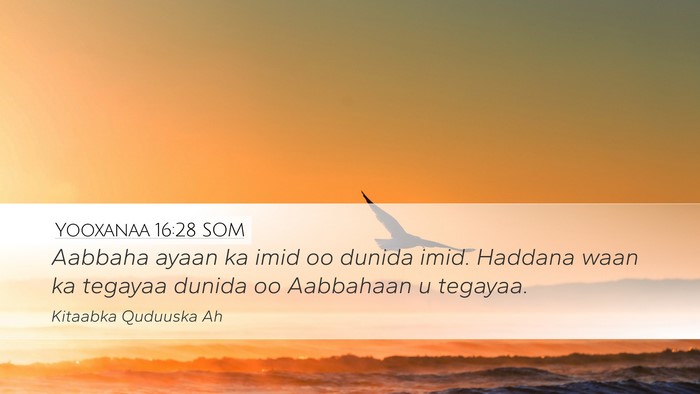 Yooxanaa 16:28 SOM Bible Verse Image