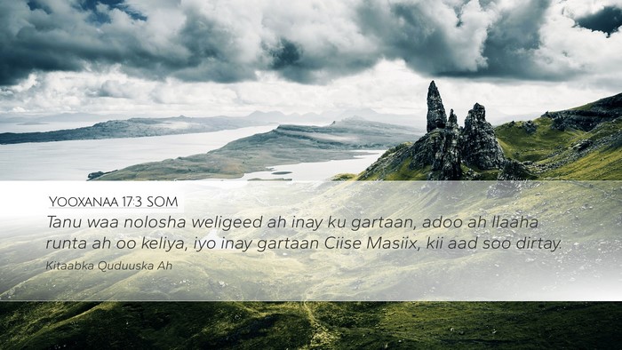 Yooxanaa 17:3 SOM Bible Verse Image