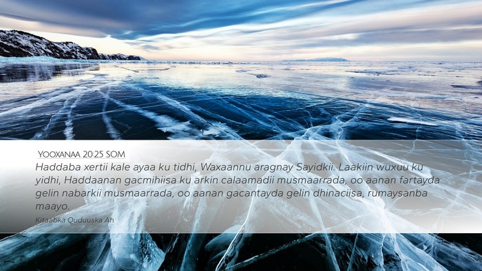 Yooxanaa 20:25 SOM Bible Verse Image