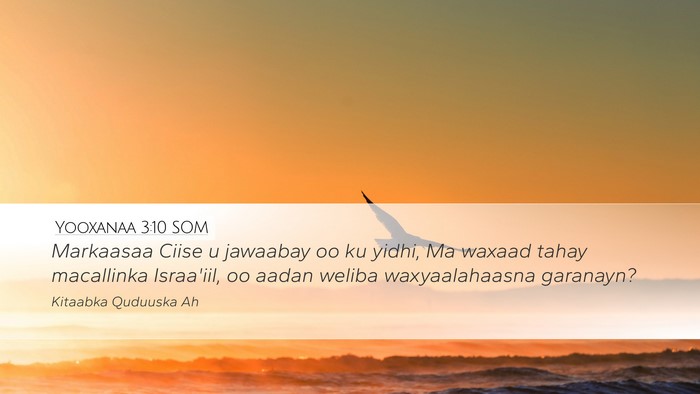Yooxanaa 3:10 SOM Bible Verse Image