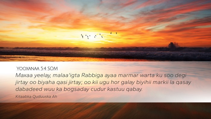 Yooxanaa 5:4 SOM Desktop Wallpaper - Maxaa yeelay, malaa'igta Rabbiga ayaa marmar - Desktop Bible Verse Wallpaper