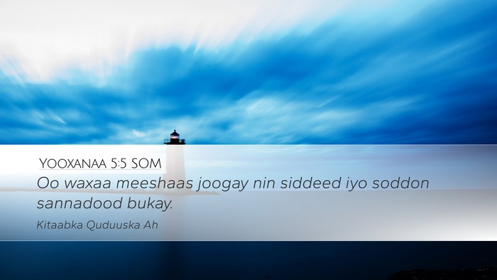 Yooxanaa 5:5 SOM Bible Verse Image
