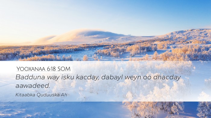 Yooxanaa 6:18 SOM Bible Verse Image