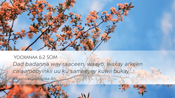 Yooxanaa 6:2 SOM Bible Verse Image