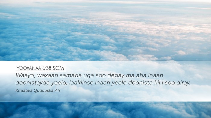 Yooxanaa 6:38 SOM Bible Verse Image
