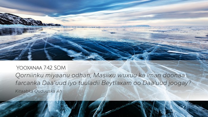 Yooxanaa 7:42 SOM Bible Verse Image