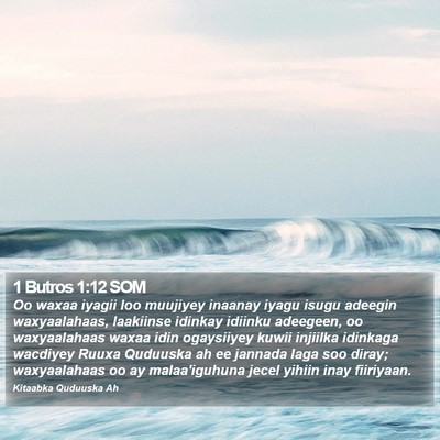 1 Butros 1:12 SOM Bible Verse Image