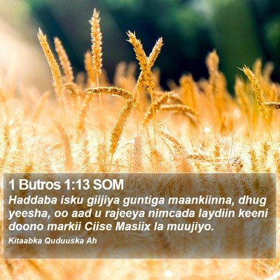 1 Butros 1:13 SOM Bible Verse Image