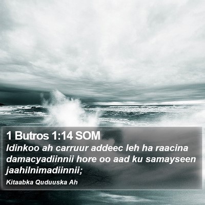 1 Butros 1:14 SOM Bible Verse Image