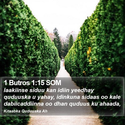 1 Butros 1:15 SOM Bible Verse Image