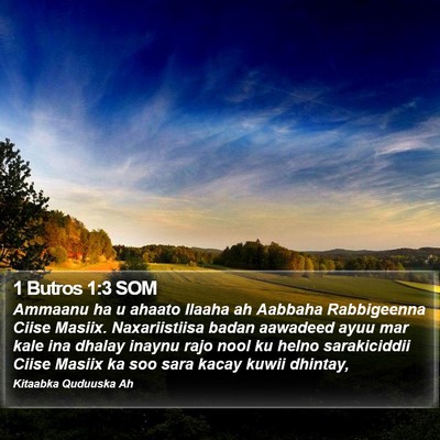 1 Butros 1:3 SOM Bible Verse Image