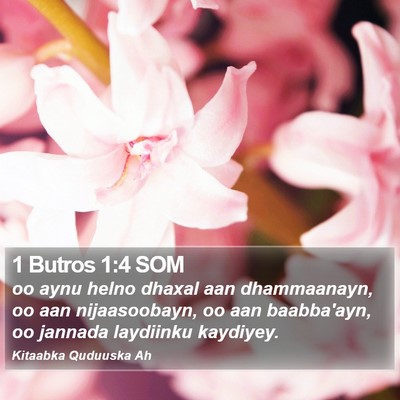 1 Butros 1:4 SOM Bible Verse Image