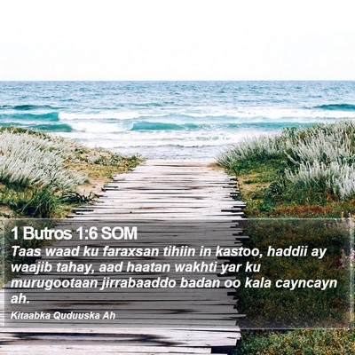 1 Butros 1:6 SOM Bible Verse Image