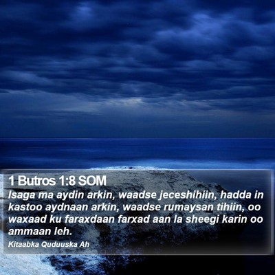 1 Butros 1:8 SOM Bible Verse Image