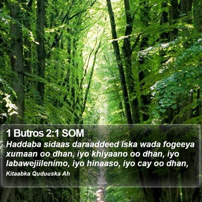 1 Butros 2:1 SOM Bible Verse Image
