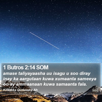 1 Butros 2:14 SOM Bible Verse Image