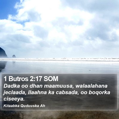 1 Butros 2:17 SOM Bible Verse Image