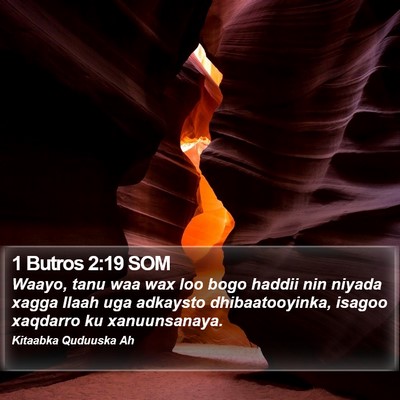 1 Butros 2:19 SOM Bible Verse Image