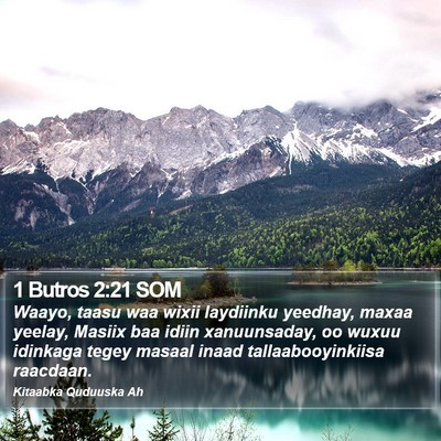 1 Butros 2:21 SOM Bible Verse Image