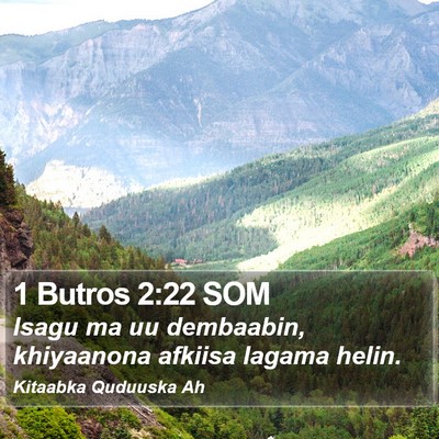1 Butros 2:22 SOM Bible Verse Image