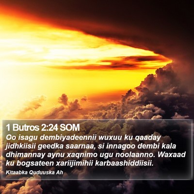 1 Butros 2:24 SOM Bible Verse Image