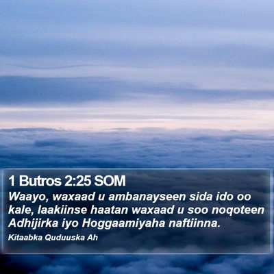 1 Butros 2:25 SOM Bible Verse Image