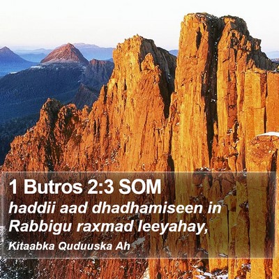 1 Butros 2:3 SOM Bible Verse Image