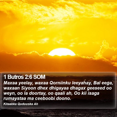 1 Butros 2:6 SOM Bible Verse Image
