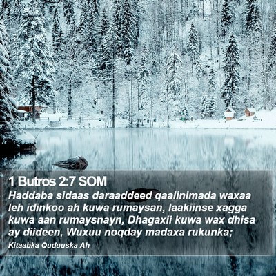1 Butros 2:7 SOM Bible Verse Image