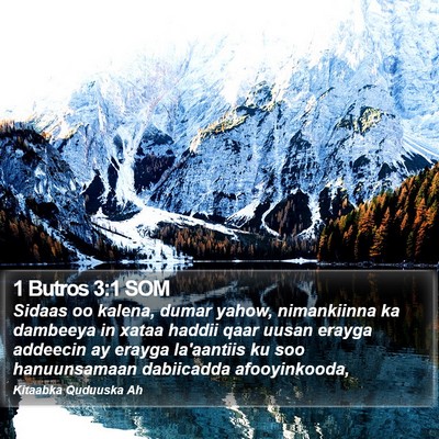 1 Butros 3:1 SOM Bible Verse Image