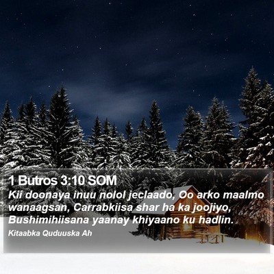 1 Butros 3:10 SOM Bible Verse Image