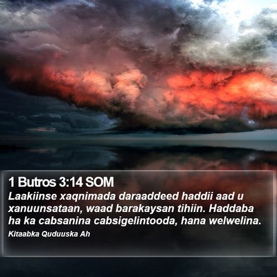 1 Butros 3:14 SOM Bible Verse Image