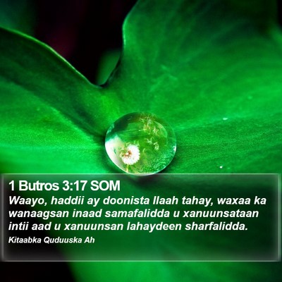 1 Butros 3:17 SOM Bible Verse Image