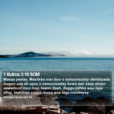 1 Butros 3:18 SOM Bible Verse Image