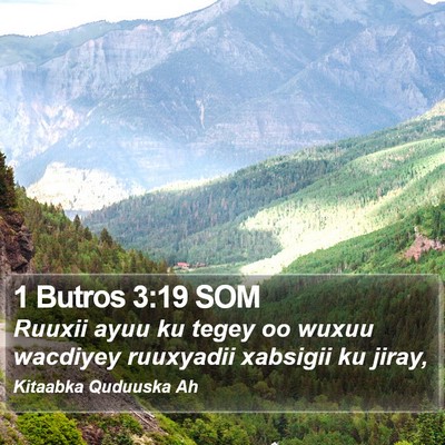 1 Butros 3:19 SOM Bible Verse Image