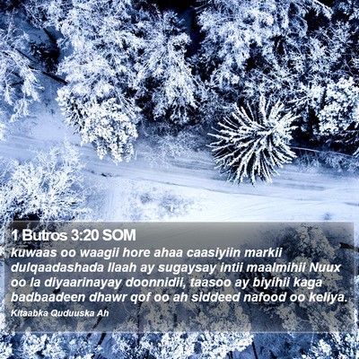 1 Butros 3:20 SOM Bible Verse Image