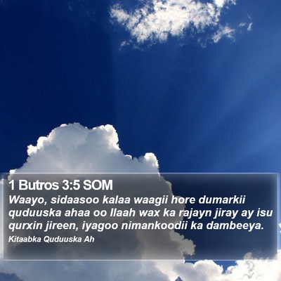 1 Butros 3:5 SOM Bible Verse Image