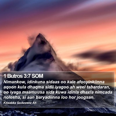 1 Butros 3:7 SOM Bible Verse Image