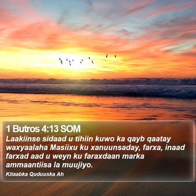 1 Butros 4:13 SOM Bible Verse Image