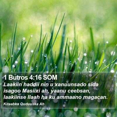 1 Butros 4:16 SOM Bible Verse Image