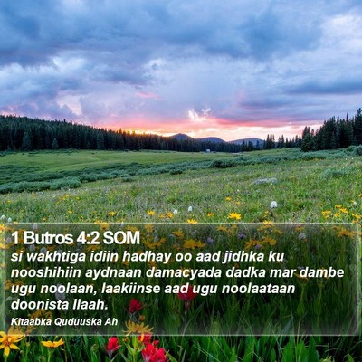 1 Butros 4:2 SOM Bible Verse Image