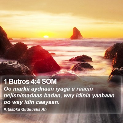 1 Butros 4:4 SOM Bible Verse Image