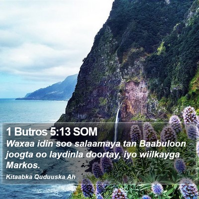 1 Butros 5:13 SOM Bible Verse Image